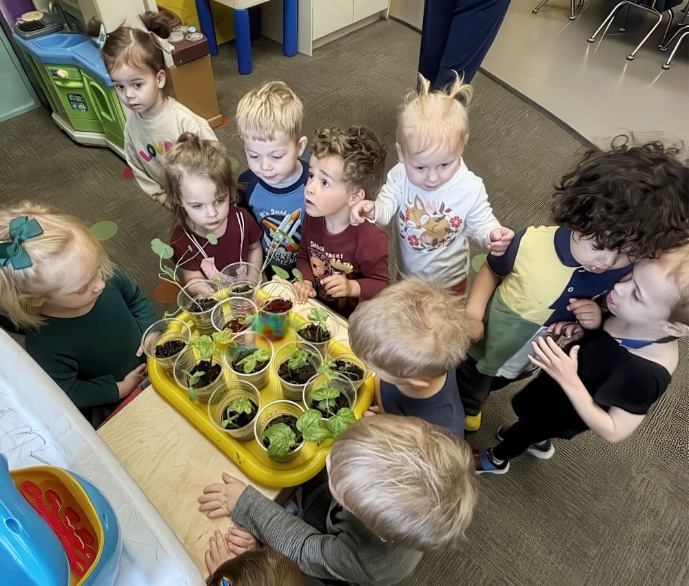 Toddlers explore plants together during a hands-on classroom activity.